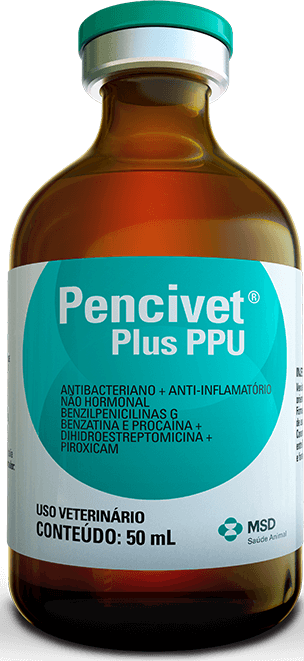Pencivet